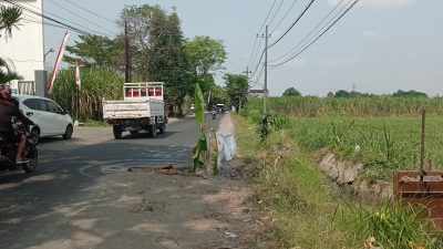 Jalan dan Gorong-Gorong Rusak di Desa Gogorante, Ngasem, Ancam Keselamatan Pengendara