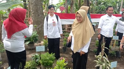 Dinkes Bina dan Nilai Kelompok Toga serta Akupresur Barokah di Rejomulyo Kras