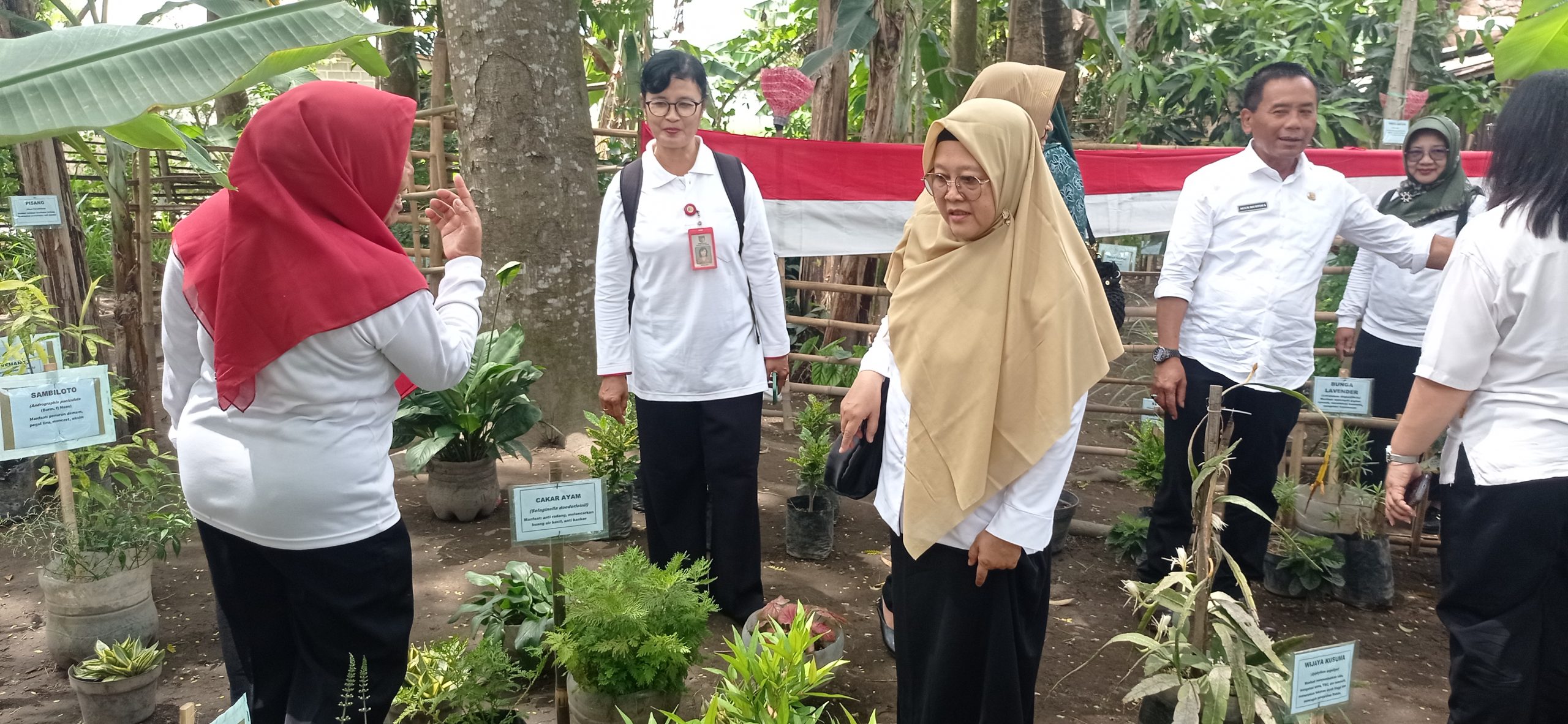 Dinkes Bina dan Nilai Kelompok Toga serta Akupresur Barokah di Rejomulyo Kras