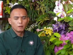 Hard Gumay Ramal Penyanyi M Cerai Lagi, Netizen Langsung Tebak Nama-Nama Ini!