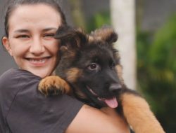 Dahlia Poland Gugat Cerai Fandy Christian! Lanjutan Isu Perselingkuhan di 2023?