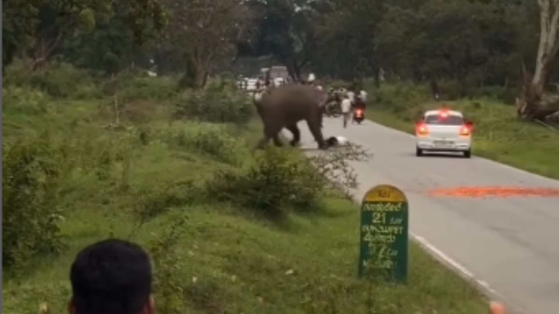 HOAKS! Video Pria India Tewas Diinjak Gajah, Faktanya Hanya Alami Luka Ringan dan Malah Kena Denda