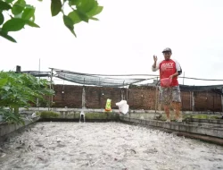 Dinas Perikanan Kediri Targetkan Produksi 18 Miliar Benih Lele di 2025