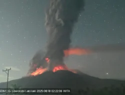 BNPB Catat Empat Bencana Signifikan di Awal Pekan, Termasuk Gempa Poso dan Erupsi Lewotobi