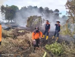 BNPB : Dalam 24 Jam, Bencana Alam Landa Sejumlah Wilayah di Indonesia