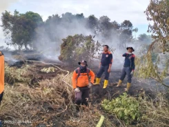BNPB: Dalam 24 Jam, Bencana Alam Landa Sejumlah Wilayah di Indonesia