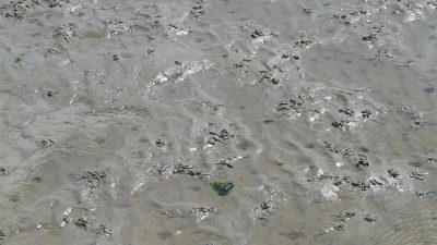 Jangan Diabaikan! Ini Cara Mengatasi Anak Cacingan yang Perlu Orang Tua Tahu: Penyebab dan Tanda