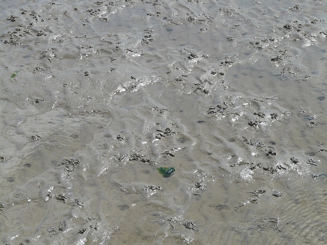 Jangan Diabaikan! Ini Cara Mengatasi Anak Cacingan yang Perlu Orang Tua Tahu: Penyebab dan Tanda