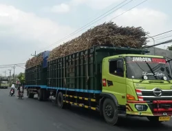 Dishub Kabupaten Kediri Awasi Truk Tebu ODOL, Warga Keluhkan Bahaya di Jalan