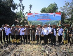 Polres Madiun Tanam Jagung Serentak di Ponpes Al Syafi’i