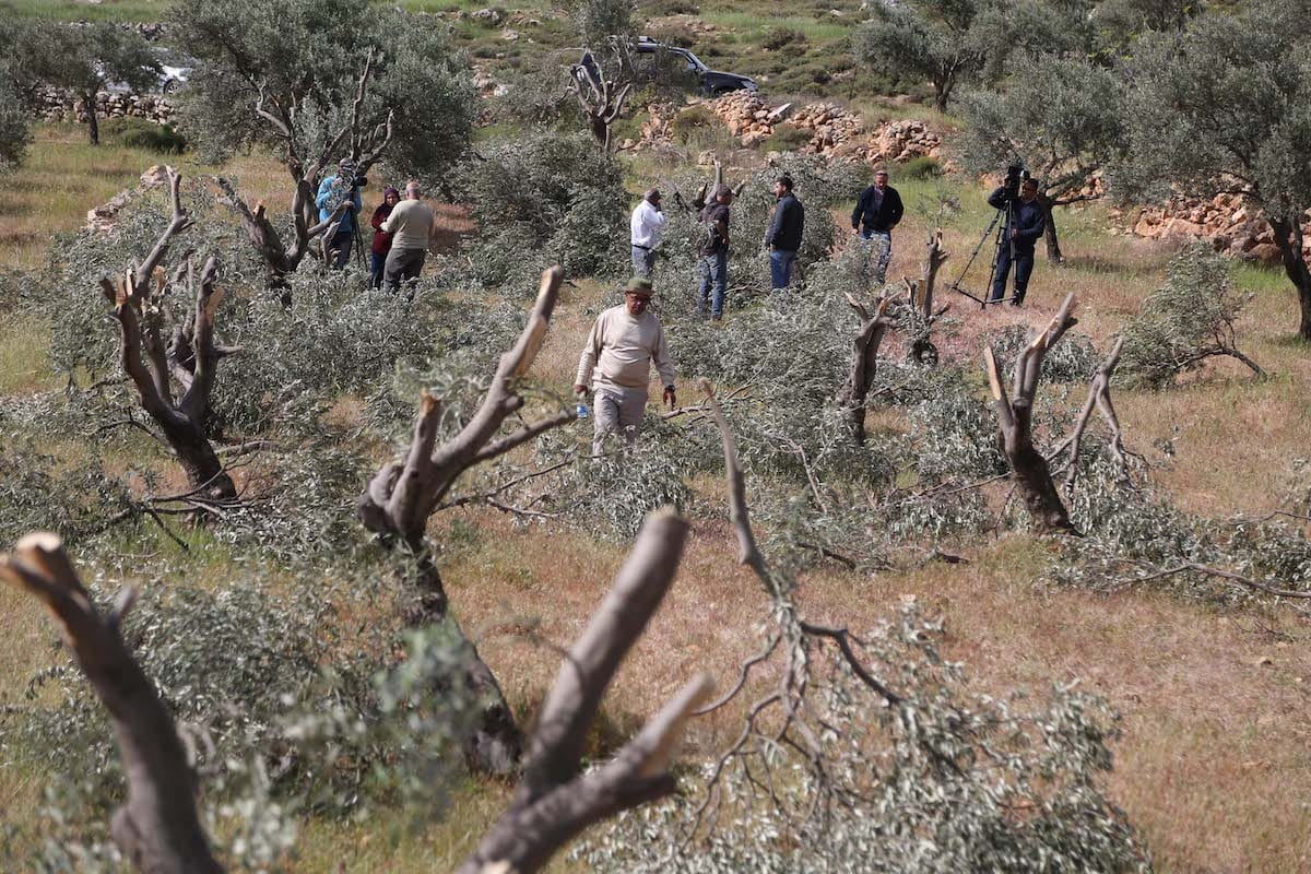 Israel Intensifkan Serangan di Tepi Barat, Lahan Pertanian Dirusak dan 14 Warga Palestina Ditangkap