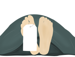 Viral! Anggota Paskibra di Sumut Hilang 2 Hari Usai Latihan, Ditemukan Tewas Terkubur