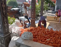 Harga Jagung Naik Lagi, Minggu Ini Tembus Rp 6.500 Per Kilogram