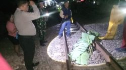 Kronologi Wanita Tewas Tertabrak Kereta Api Kertanegara di Kediri