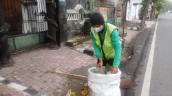 Petugas DLHKP Kediri Sigap Jaga Kebersihan di Tengah Mekarnya Tabebuya