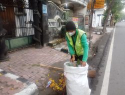 Petugas DLHKP Kota Kediri Sigap Jaga Kebersihan di Tengah Mekarnya Bunga Tabebuya