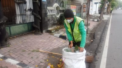 Petugas DLHKP Kota Kediri Sigap Jaga Kebersihan di Tengah Mekarnya Bunga Tabebuya
