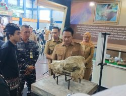 Dinas Pariwisata dan Kebudayaan Lamongan Gelar Museum Expo 2025, Angkat Sejarah Jadi Inspirasi