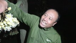 Petani Lamongan Andalkan Polinasi Manual untuk Hasilkan Durian Premium