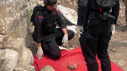 Heboh! Pekerja Gali Tanah di Paciran Lamongan Temukan Benda Diduga Granat