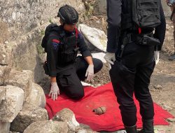 Heboh! Pekerja Gali Tanah di Paciran Lamongan Temukan Benda Diduga Granat