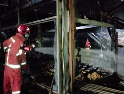 Ludes! Kebakaran Kandang Ayam di Kota Batu, Ribuan Ternak Mati Terpanggang