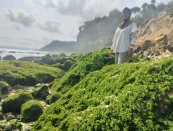 Pantai Pacar di Tulungagung, Sajikan Karang Hijau dan Suasana Romantis untuk Liburan