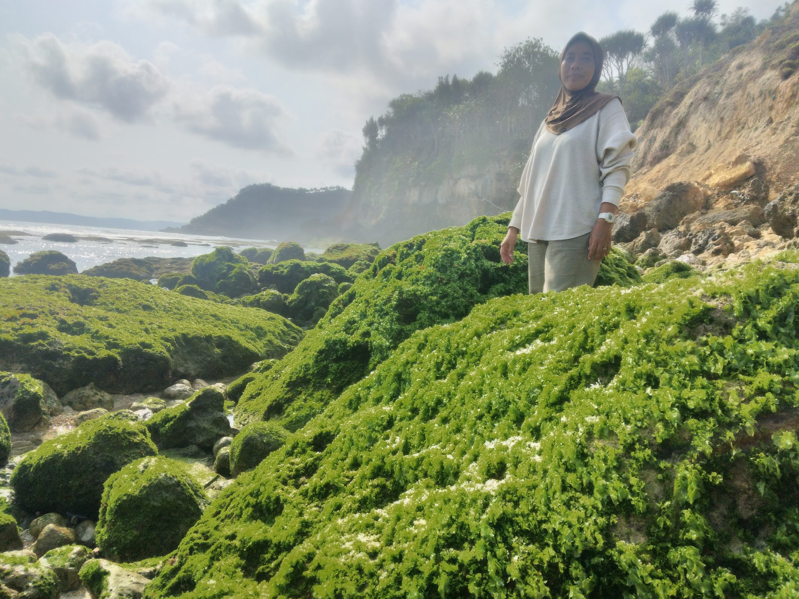 Pantai Pacar di Tulungagung, Sajikan Karang Hijau dan Suasana Romantis untuk Liburan