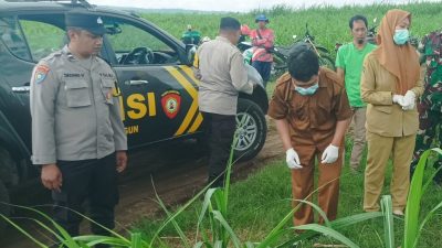 Mayat Pria Tanpa Identitas Ditemukan di Lahan Tebu Binangun, Blitar