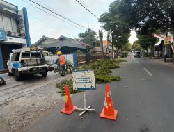 Antisipasi Gangguan, PLN ULP Grogol Pangkas Pohon di Wilayah Barat Sungai