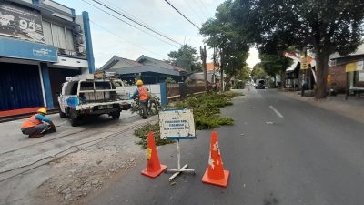 Antisipasi Gangguan, PLN ULP Grogol Pangkas Pohon di Wilayah Barat Sungai