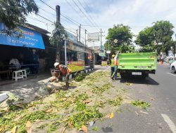 PLN Pangkas Pohon di Jalan Diponegoro Kediri untuk Cegah Gangguan Listrik