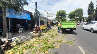 PLN Pangkas Pohon di Jalan Diponegoro Kediri untuk Cegah Gangguan Listrik