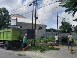 Antisipasi Pohon Tumbang, DLHKP Kediri Kota Kediri Lakukan Pemangkasan