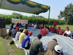 Hari Tani, PDIP Jombang Dorong Inovasi Demi Kedaulatan Pangan