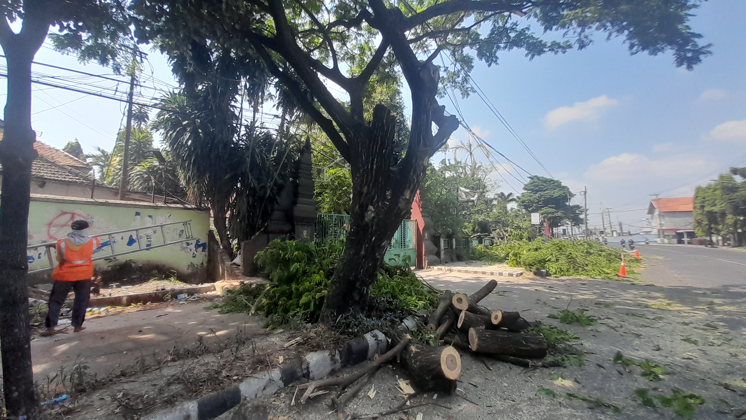 Pohon di Jalan Mayor Bismo Ditebang, Terdampak Proyek Tol Bandara Dhoho Kediri