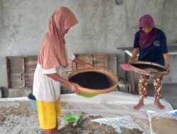 Cuaca Tak Menentu, Petani Bayam di Kudu, Jombang, Tetap Bersemangat