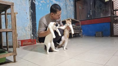 Aipda Andik Puji Sumarton, Polisi yang Dedikasikan Diri untuk Merawat Kucing Jalanan