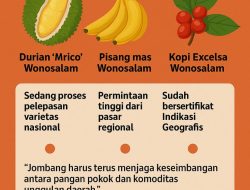 Produk Unggulan Lokal Jadi Ciri Khas Jombang, Buka Peluang Pasar Lebih Luas