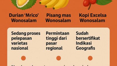 Produk Unggulan Lokal Jadi Ciri Khas Jombang, Buka Peluang Pasar Lebih Luas