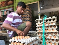 Harga Telur dan Ayam Potong di Nganjuk Melonjak, Pedagang Mengaku Omzet Turun