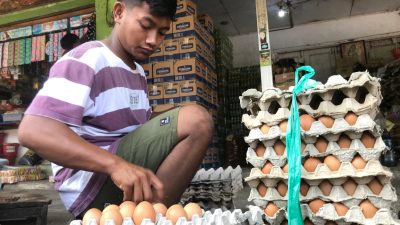Harga Telur dan Ayam Potong di Nganjuk Melonjak, Pedagang Mengaku Omzet Turun