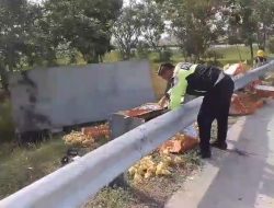 Truk Bermuatan 3 Ton Anakan Bebek Terguling di Tol Jomo, Sopir dan Kernet Luka-Luka