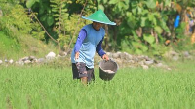 Dispertahankan Ponorogo Pastikan Stok Pupuk Bersubsidi Aman hingga Akhir Tahun