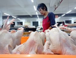 Stok Cukup, Harga Ayam Potong di Ponorogo Meroket hingga Rp38 Ribu