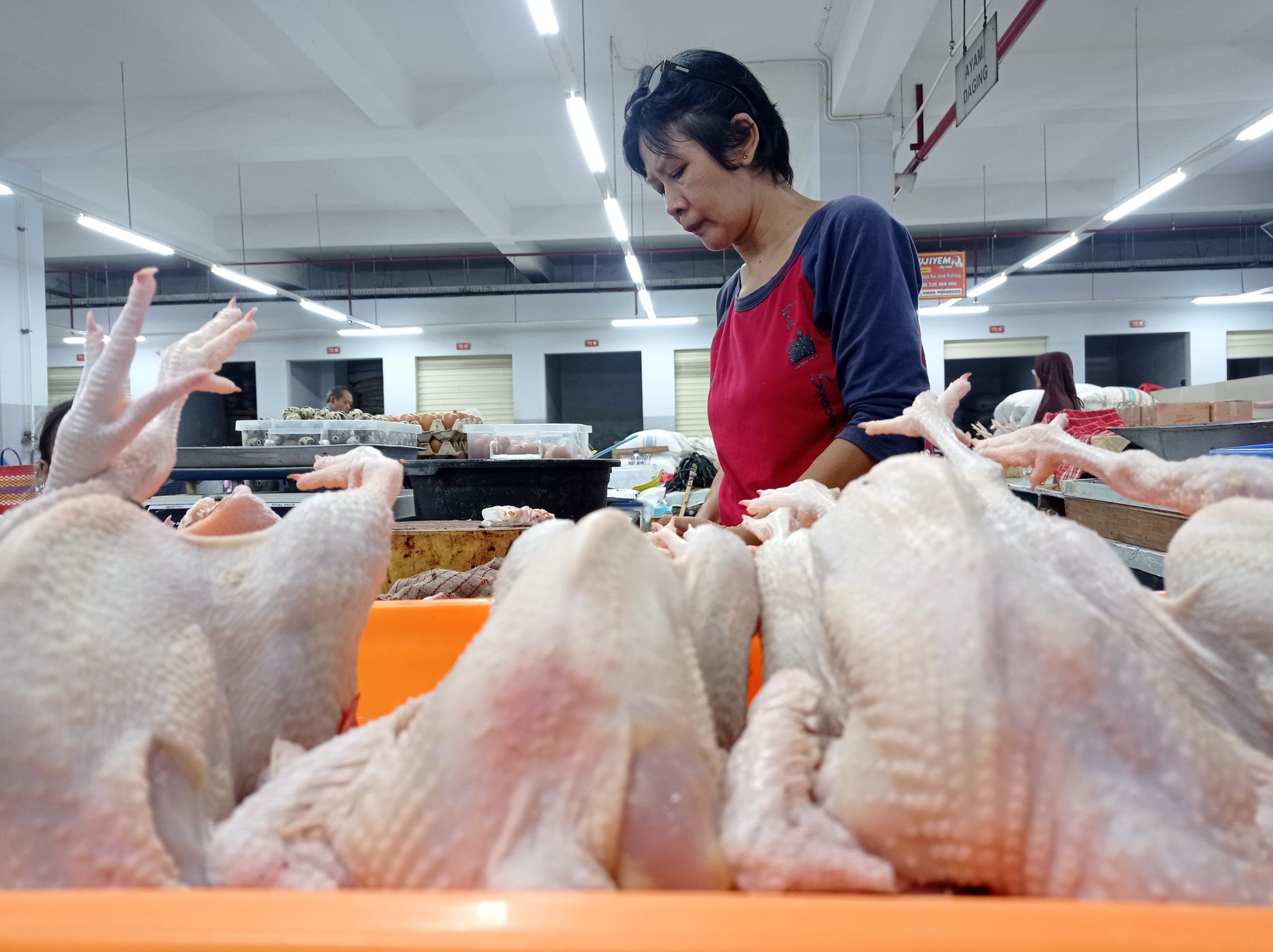 Stok Cukup, Harga Ayam Potong di Ponorogo Meroket hingga Rp38 Ribu