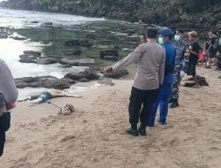 Mayat Misterius Ditemukan di Pantai Pangi, Warga Blitar Geger