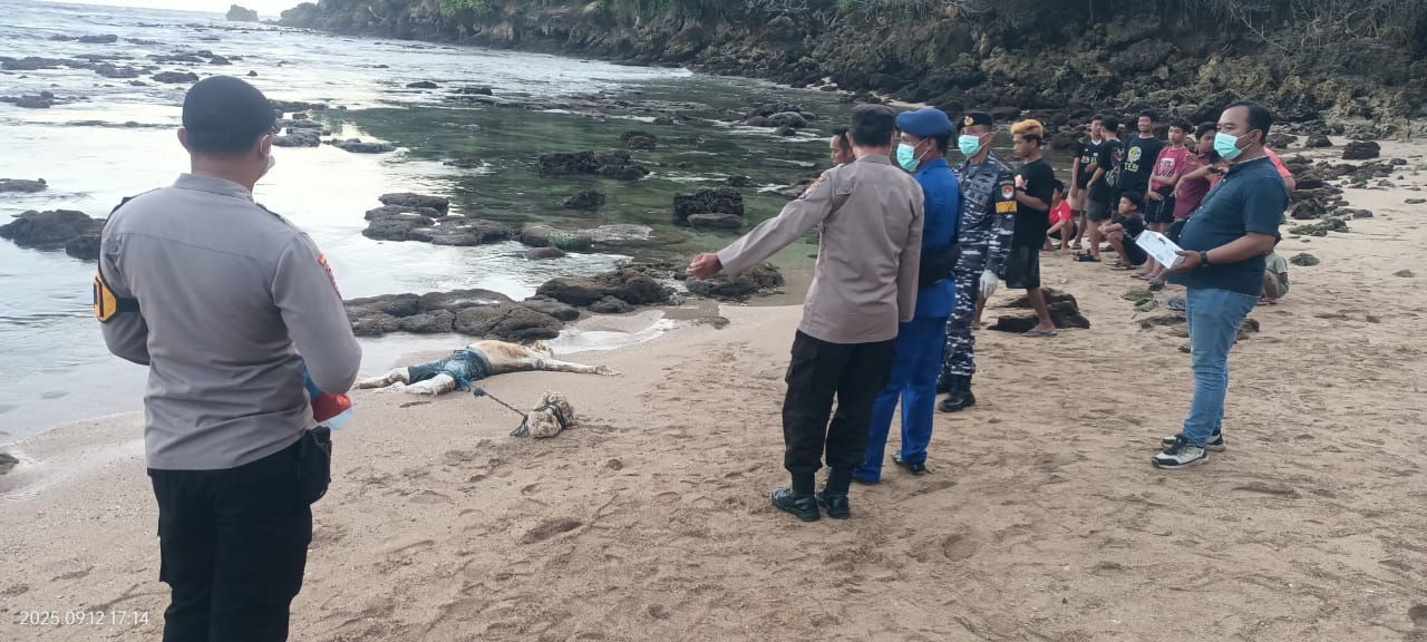 Mayat Misterius Ditemukan di Pantai Pangi, Warga Blitar Geger