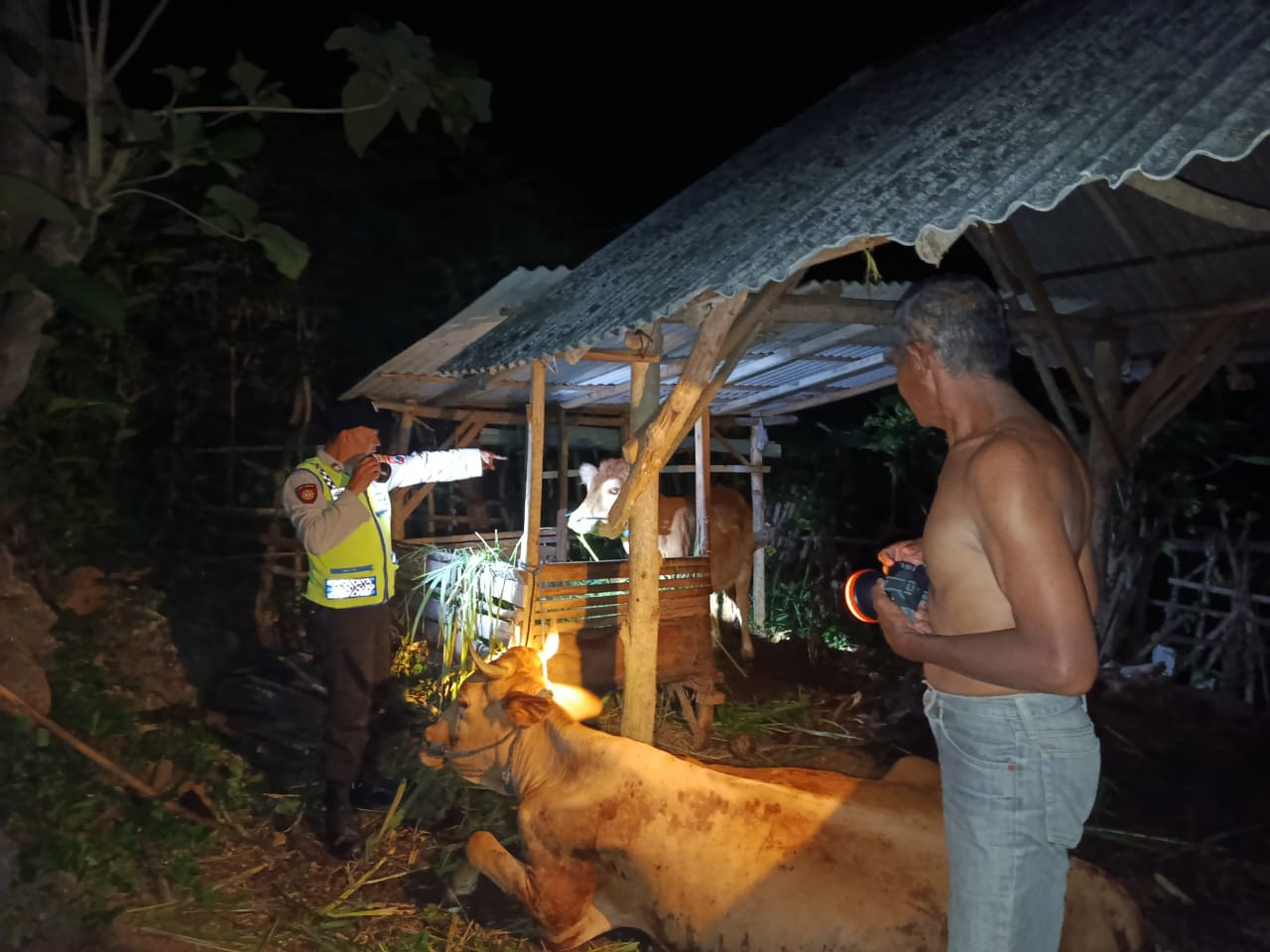 Aksi Pencurian Sapi di Blitar Digagalkan Warga, Pelaku Kabur Tinggalkan Hewan