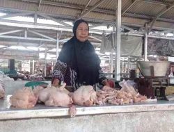 Permintaan Tinggi, Panen Mundur, Harga Daging Ayam di Kediri Naik